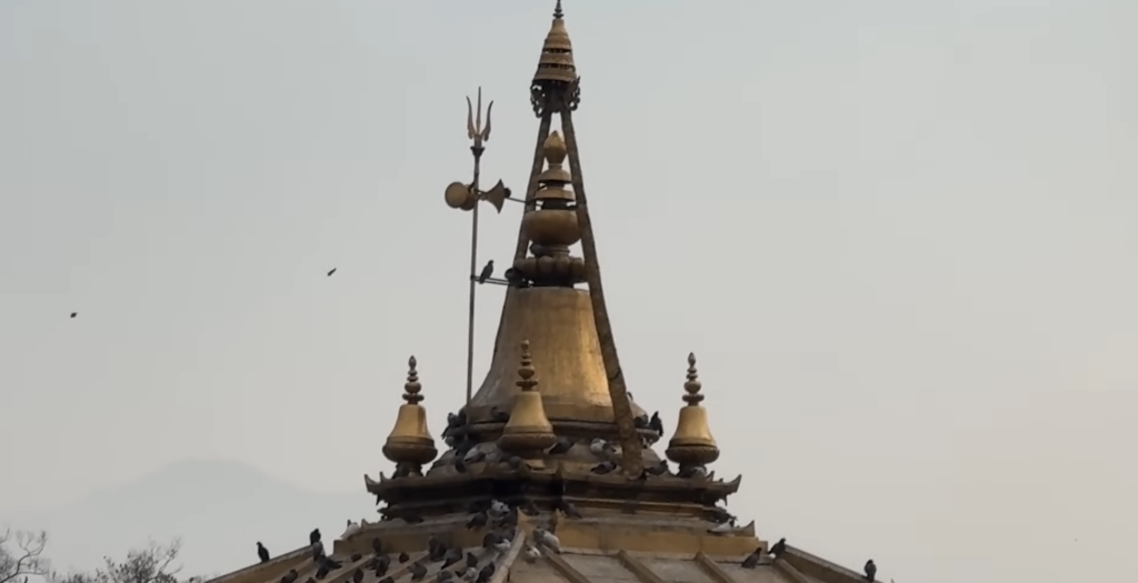 golden-gajur-at-roof-of-pashupatinath-templ-scaled